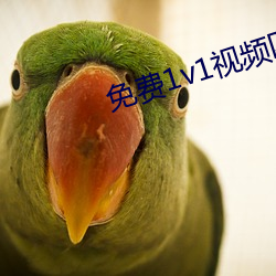 免费1v1视频匹(pǐ)配