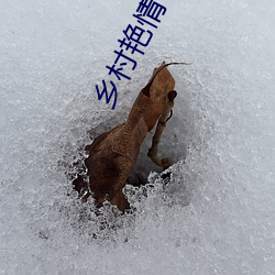 鄉村豔情