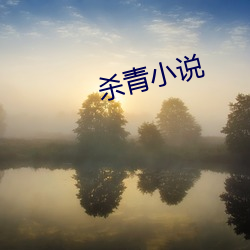 杀青小说(說)