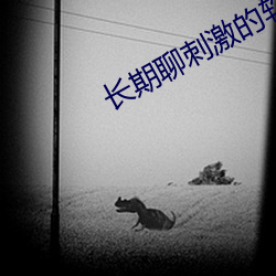長期聊刺激的軟件