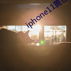 iphone11黃色