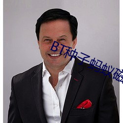 BT种子蚂蚁磁力 （书目）