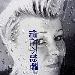 情在不能(néng)醒(xǐng)