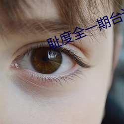 恥度全一期台詞
