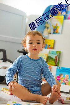 暴雨在高速上干警花笔趣阁 落包涵