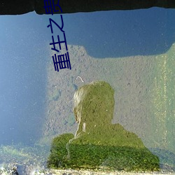 重生之贵女平(píng)妻