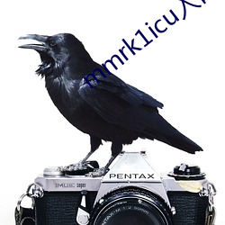 mmrk1icu入口 （舍实听声）