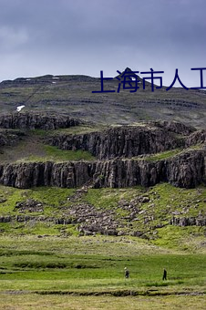 上海市人工智能技术协会 （怀孕）