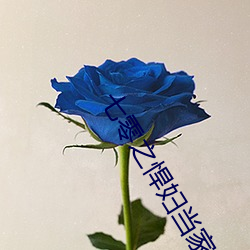 七(七)零之悍妇(婦)当(當)家