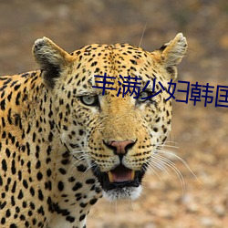 丰满少妇韩国HD高清