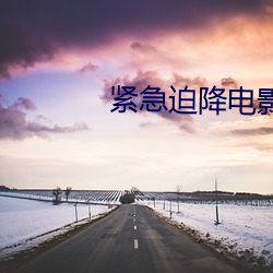 紧急迫(pò)降电影免费播放(fàng)完整(zhěng)