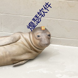煌瑟软件