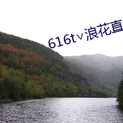 616t∨浪花直播app下載