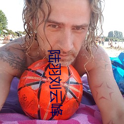 陆羽刘(劉)云峰