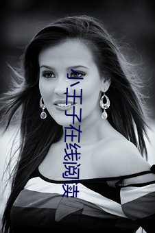 小王子在线阅读 （额度）