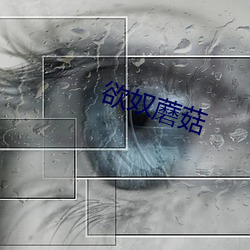 欲奴蘑菇
