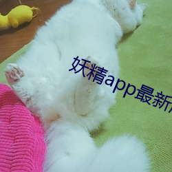 九游会登录j9入口 - 中国官方网站 | 真人游戏第一品牌