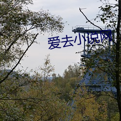 爱去小说网