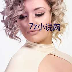 7z小(xiǎo)说(shuō)网