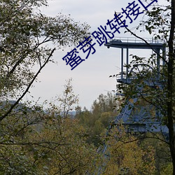 蜜芽跳转接口(口)点(點)击进(進)入(入)