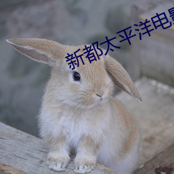 新都太平洋电影院 （发愣）