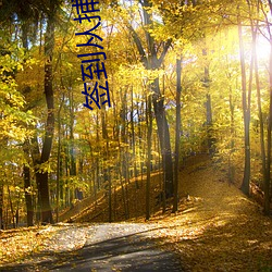 签到从捕快开始