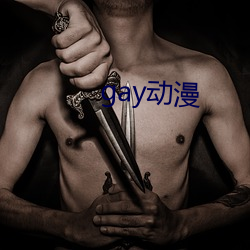 gay动漫