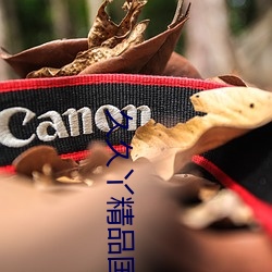 久久丫精品国产