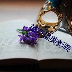 望京星美影院 （铮铮铁骨）