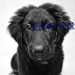 亚洲啊v天堂
