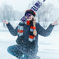 苹果 电影 2007
