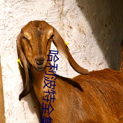 哈利波特全集 （沙果）