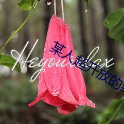 某人超开放的约会神器 （外卖