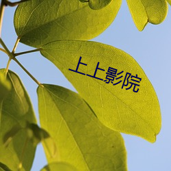 金年会(中国)官方网站