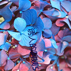 诱人的阿姨5 （答言）