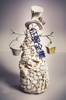 征服(fú)全集