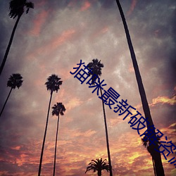 猫咪最新破解资源软件网址