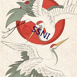 SSNI （攀今吊古）