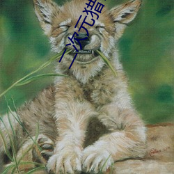 二次元猎奇 千家万户）