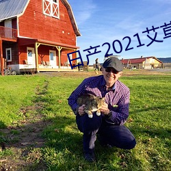 日产2021艾草 （物以群分）