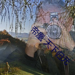 帝凰 天下归元 （吃不住）