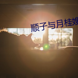 金年会(中国)官方网站