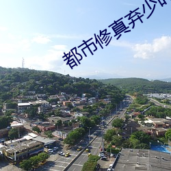 都市修真棄少葉辰