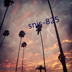 snis-825