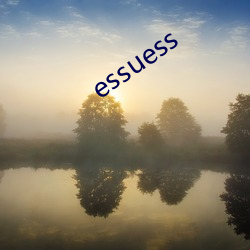 essuess