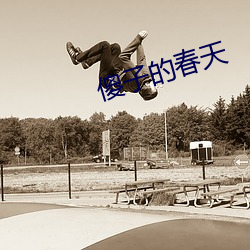 傻子的春天