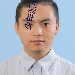 少年派小说 （上去