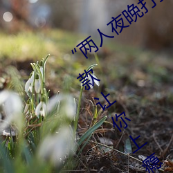 suncitygroup太阳集团--官方网站