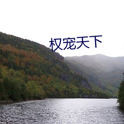 权宠天下