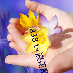 838 t浪花直播app